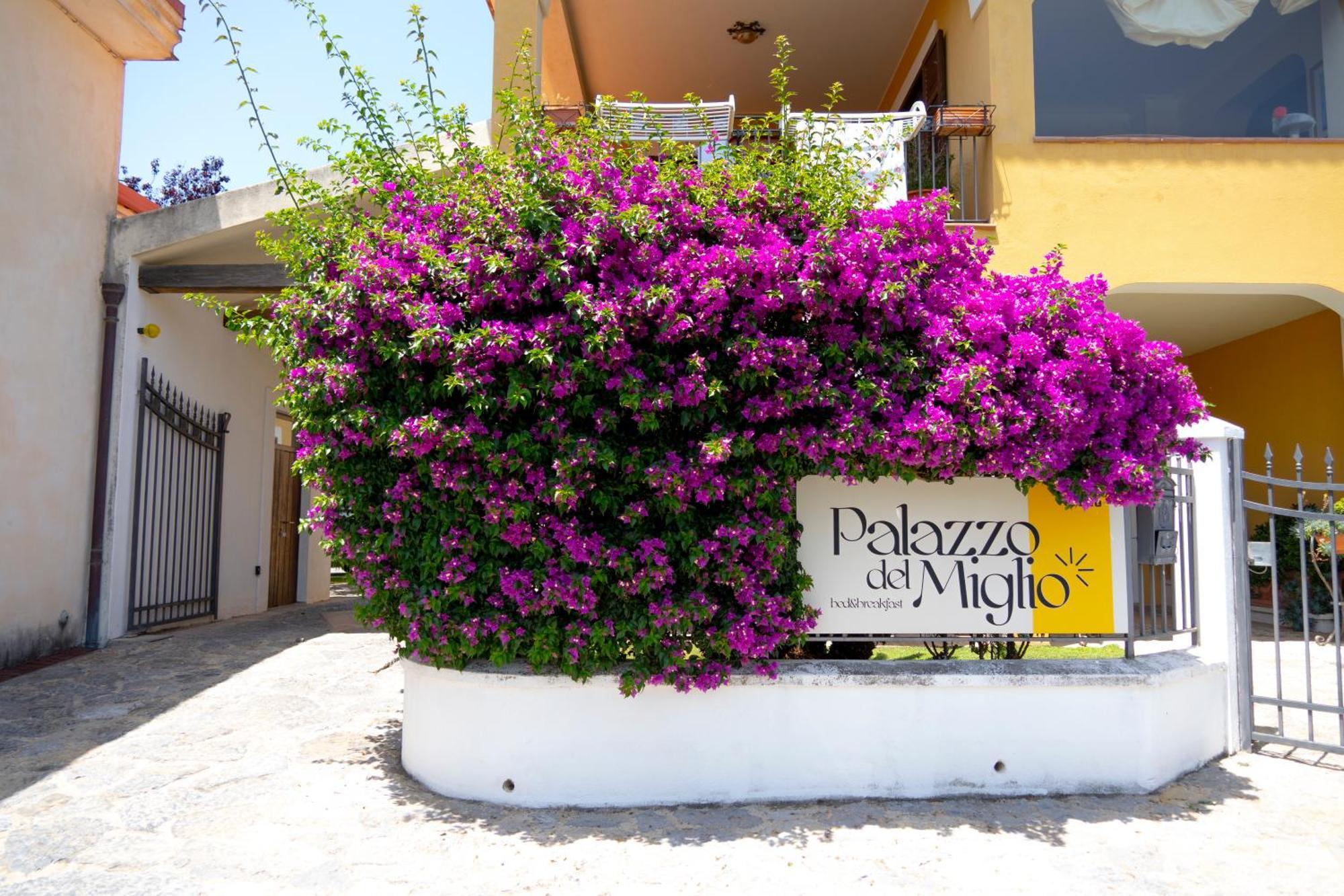 Bed and Breakfast Palazzo Del Miglio Бельведере-Мариттимо Экстерьер фото